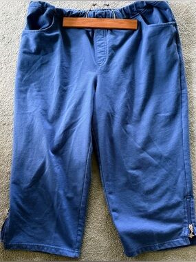 Quacker Factory DreamJeannes Regular Mini Blue Pants L